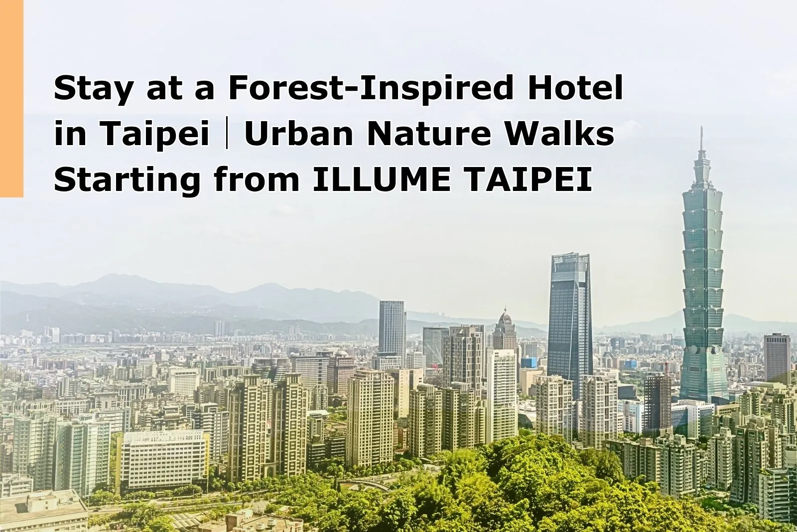 Stay at a Forest-Inspired Hotel in Taipei｜Urban Nature Walks Starting from ILLUME TAIPEI