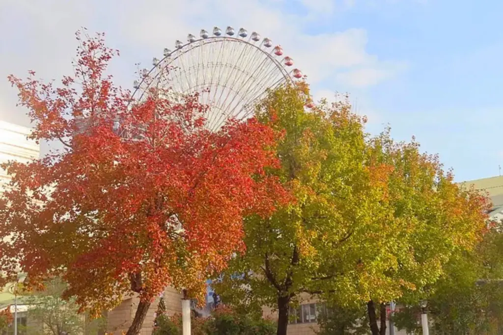Top Taipei Hotel Autumn Foliage Itinerary: 5 Leaf‑Peeping Routes from ILLUME TAIPEI 5 Photo Credit 旅遊經