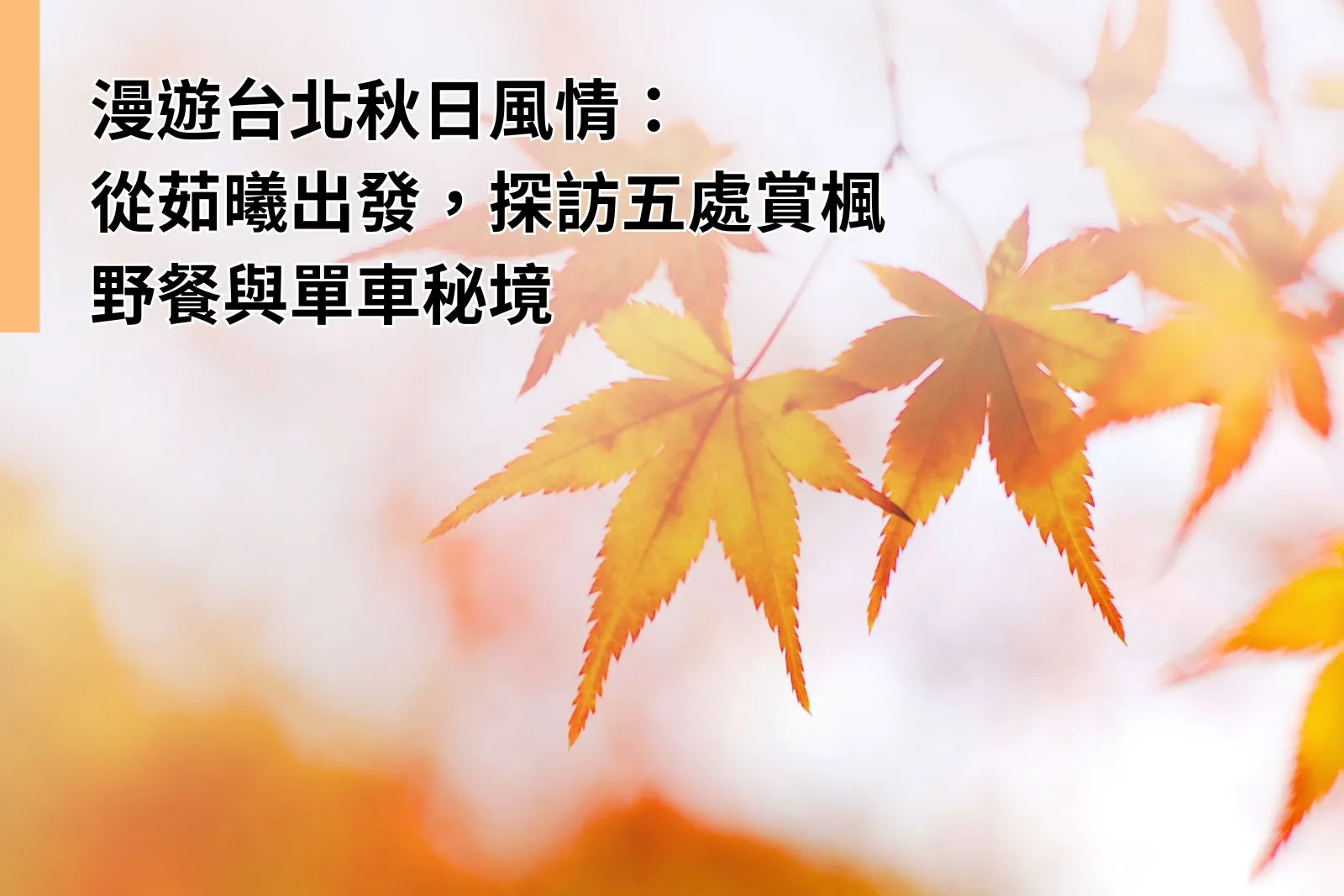 Taipei Hotel Autumn Foliage Itinerary: Top 5 Leaf‑Peeping Routes from ILLUME TAIPEI